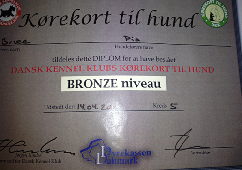 bronze